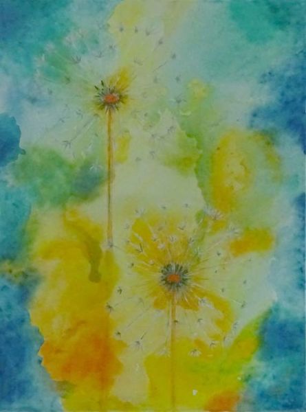 Bild